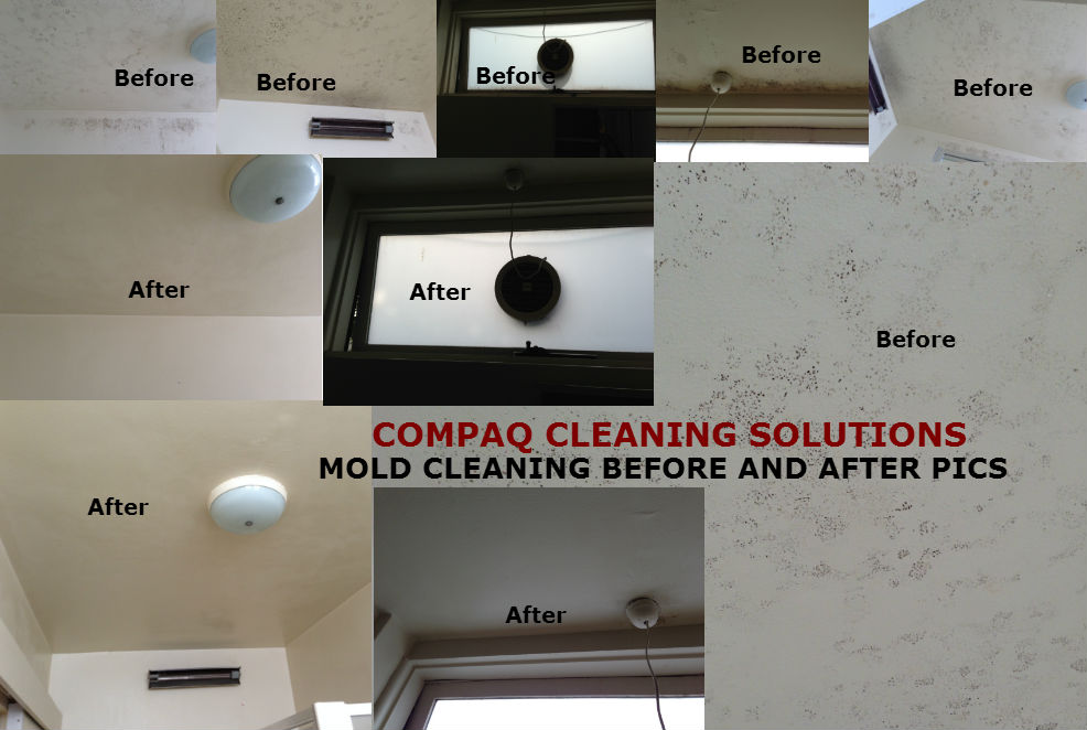 END OF LEASE CLEANING MOULD REMOVAL IN MELBOURNE